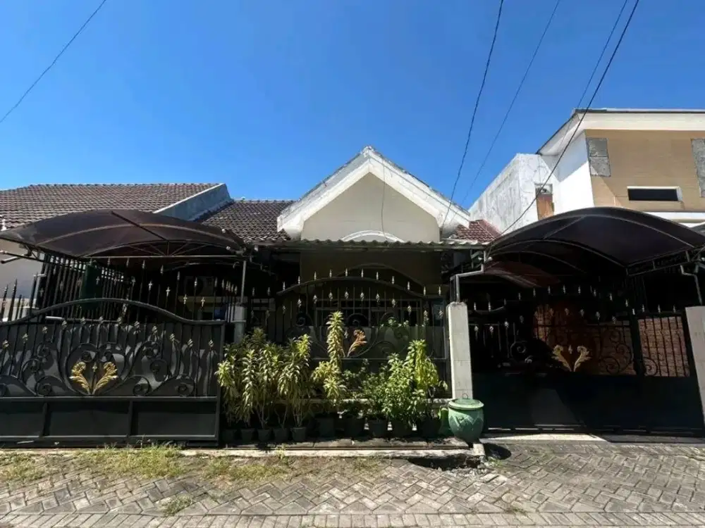 SEMAMPIR TENGAH