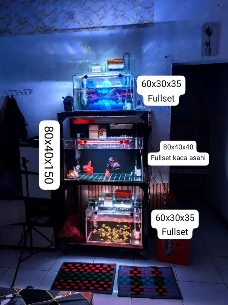 Di jual, akuarium dan ikan fullset