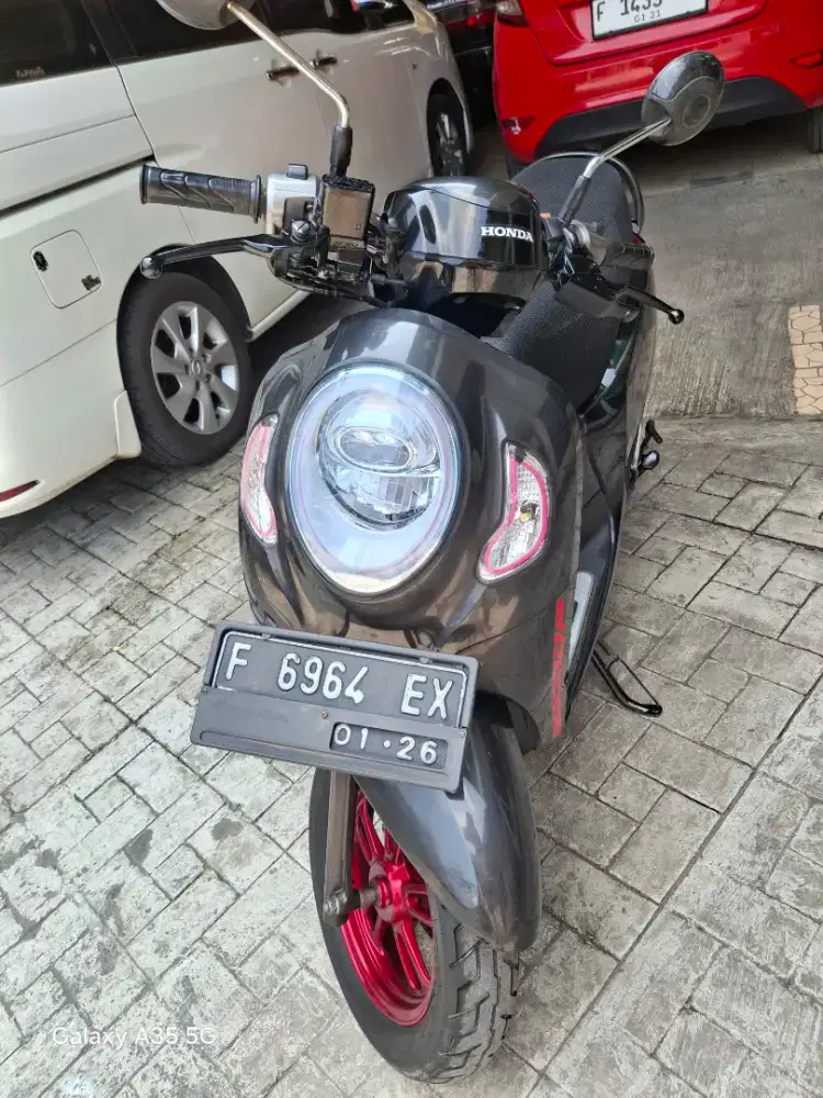 New scoopy donut 2020 murah