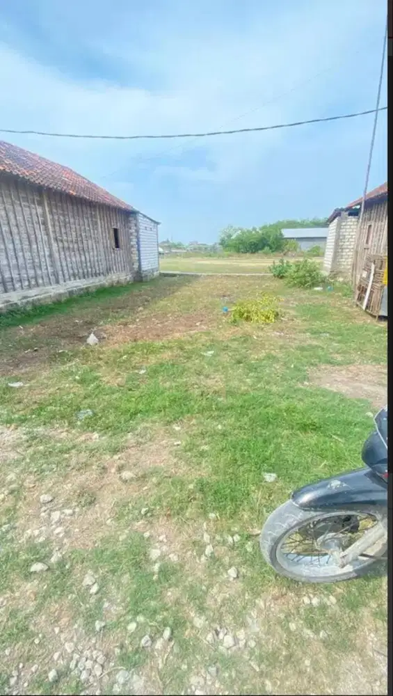 Tanah BU Rembang Jawa Tengah