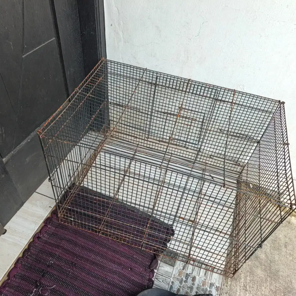 Kandang Kucing Lumayan besar