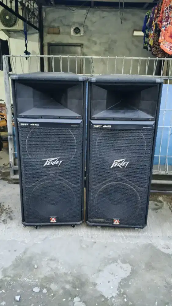 Spkr sedfil peavey sp4g usa 2x15