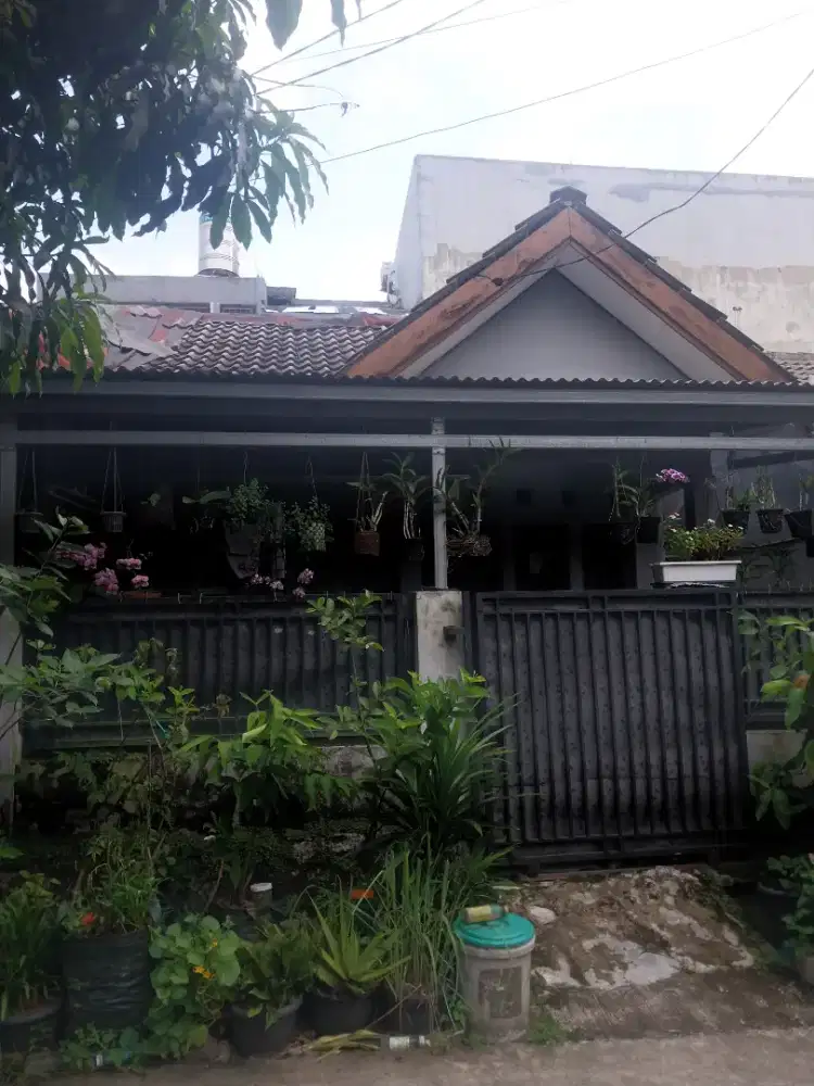 D JUAL  atw d kontrakan