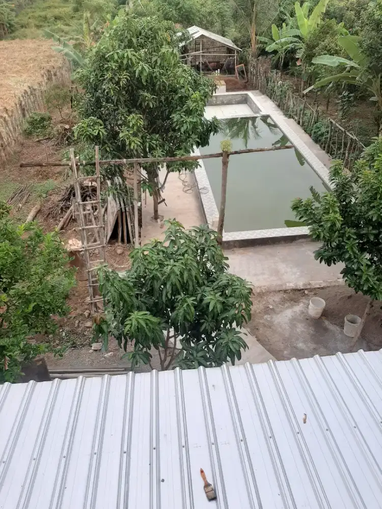 Dicari pengurus / Tukang kebon dan kolam, diutamakan remaja laki-laki