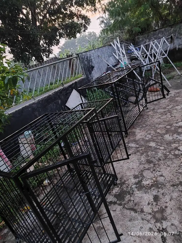 Kandang Anjing Baru