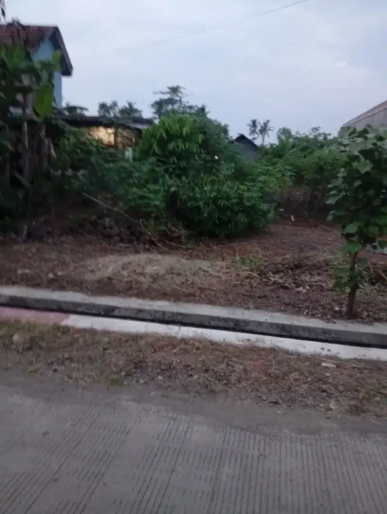 Jual tanah pekarangan lokasi dipusat desa margorejo siapa cepat