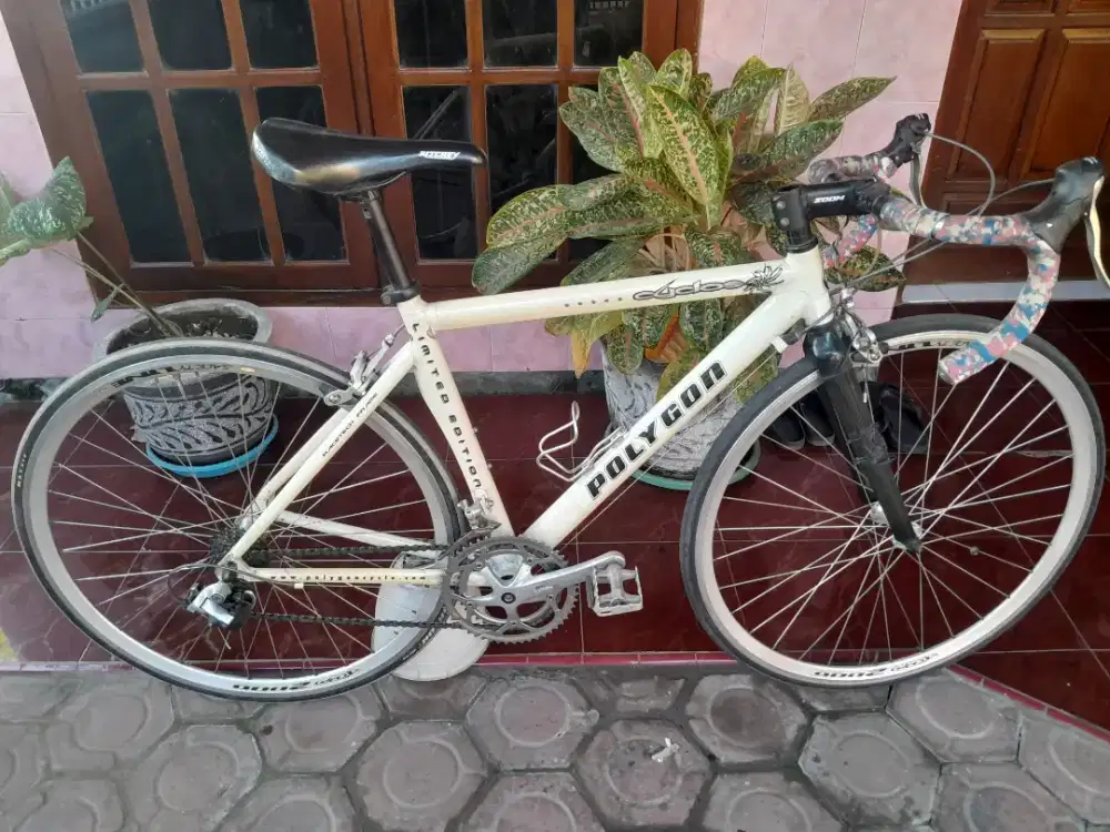 Sepeda polygon limited edition