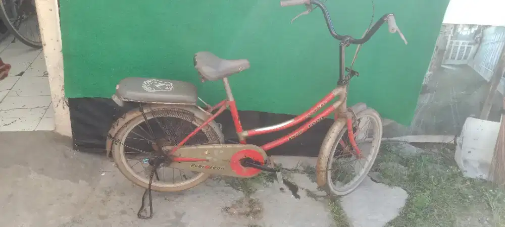 Sepeda anak uk 20