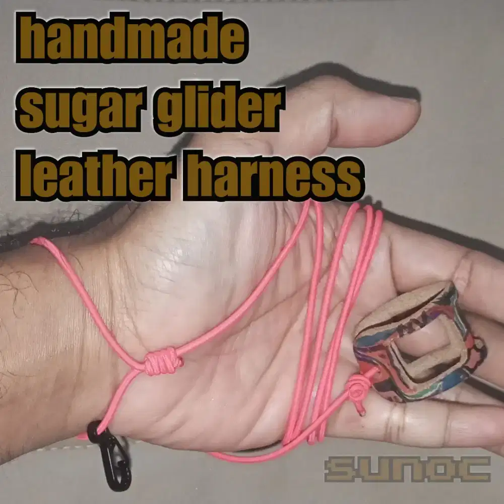 harnes kulit sugar glider