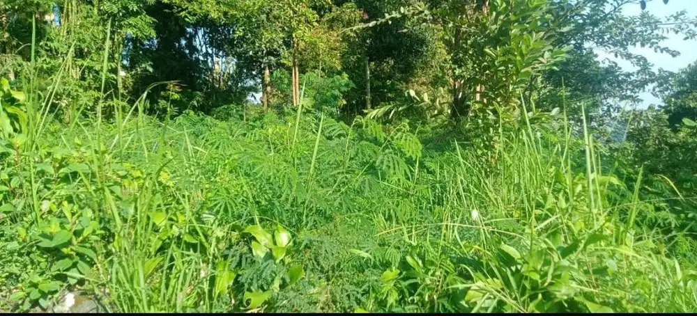 Dijual Tanah strategis 620m ngargoyoso, karanganyar