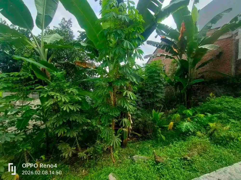 Tanah murah manyaran dekat rumah dinas walikota semarang