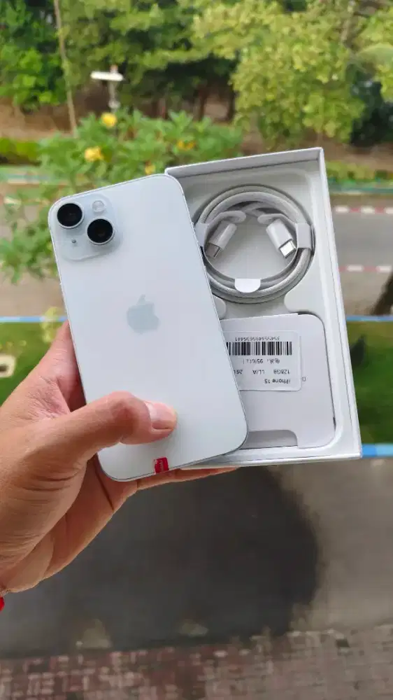 iPhone 15 Plus (256 Gb)