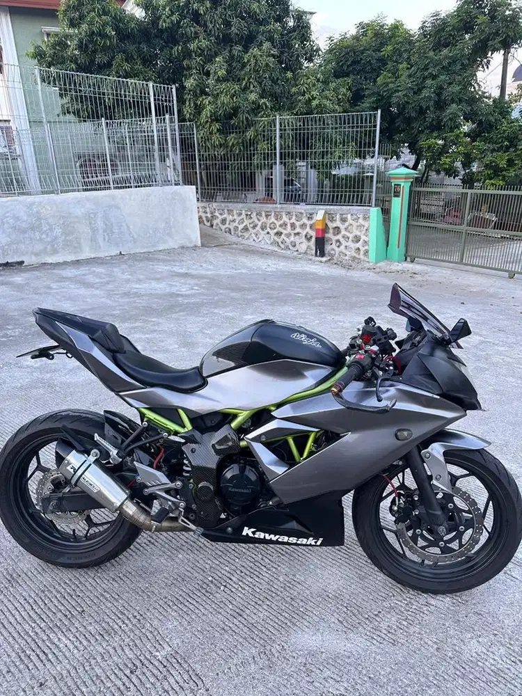 KAWASAKI NINJA 250 MONO FI 2018