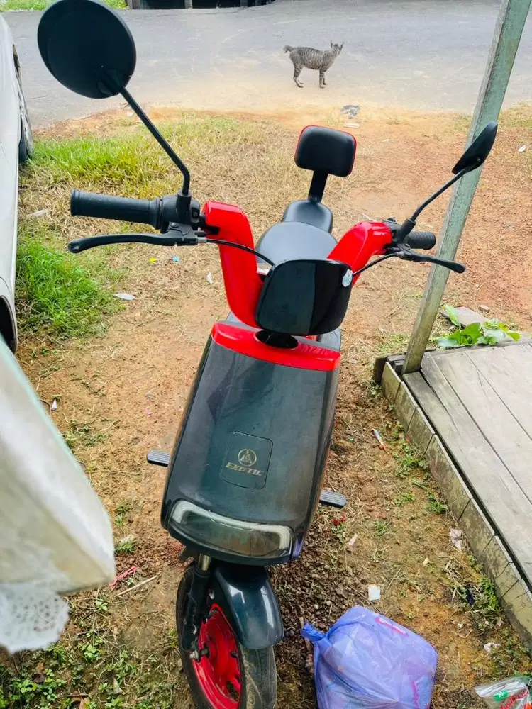 Djual spd listrik exotic luxor