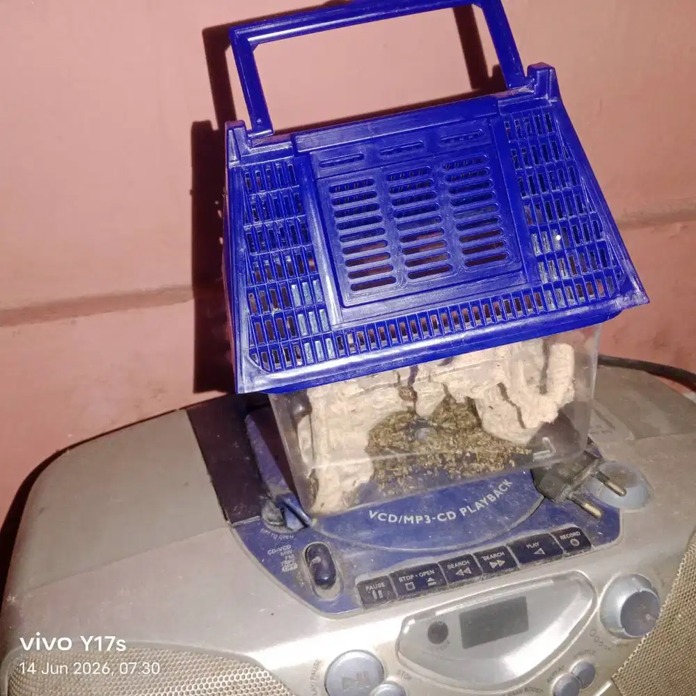 Tempat tidur hamster dan binatang serangga binatang lainnya