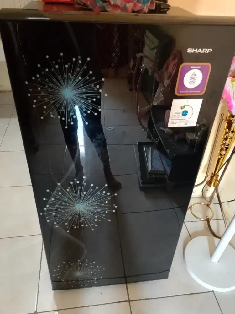 kulkas Sharp 1 pintu
