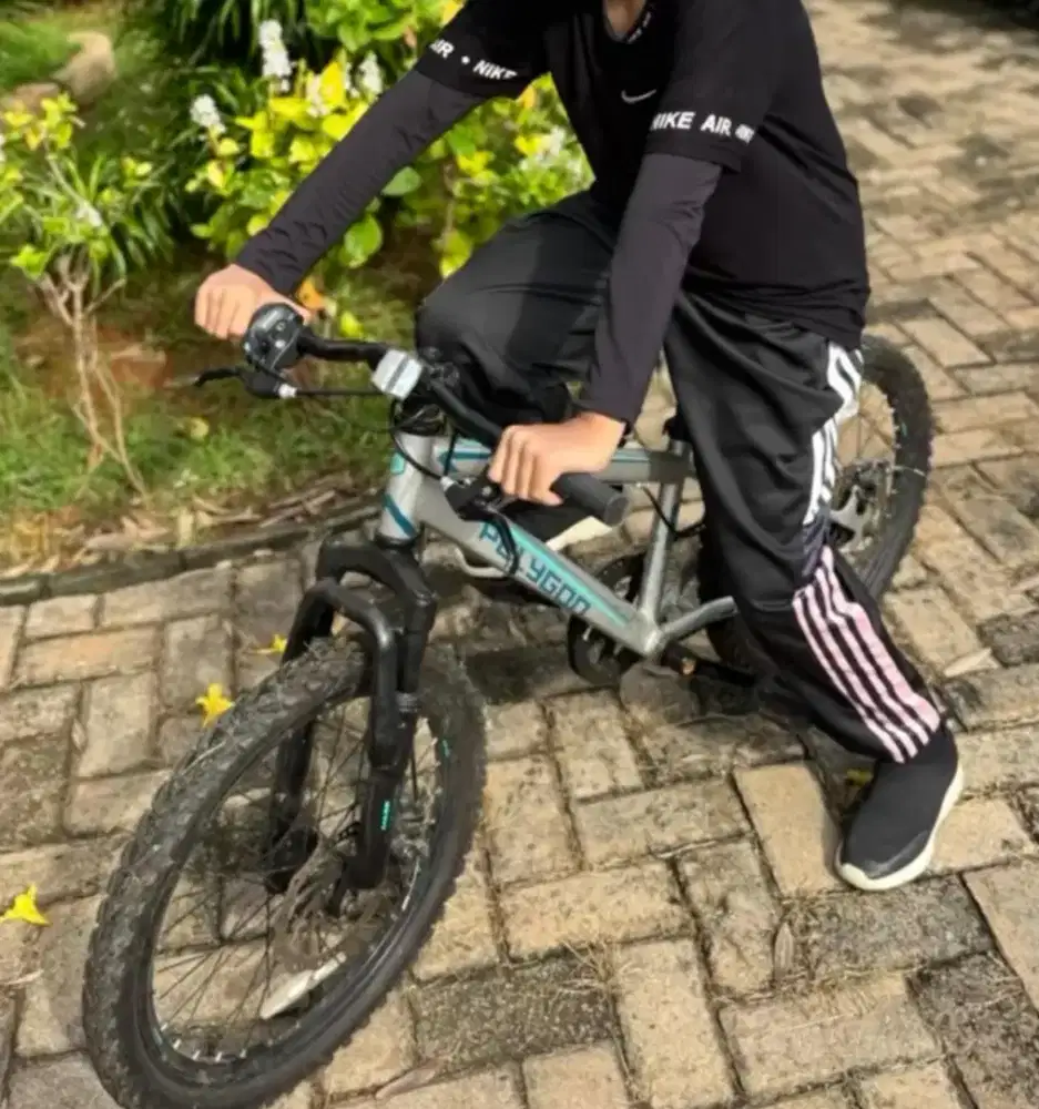 Sepeda Polygon abu metalik