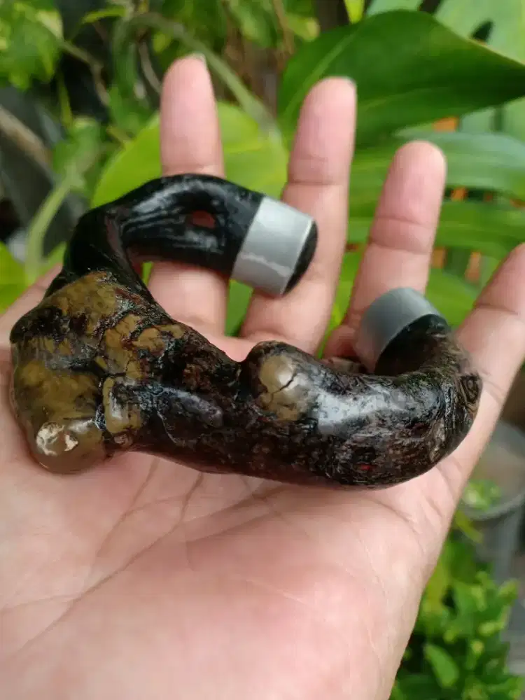 Gelang koleksi pria ori