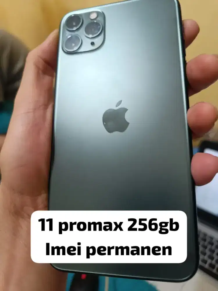 IPHONE 11 (inter/imei permanen)
