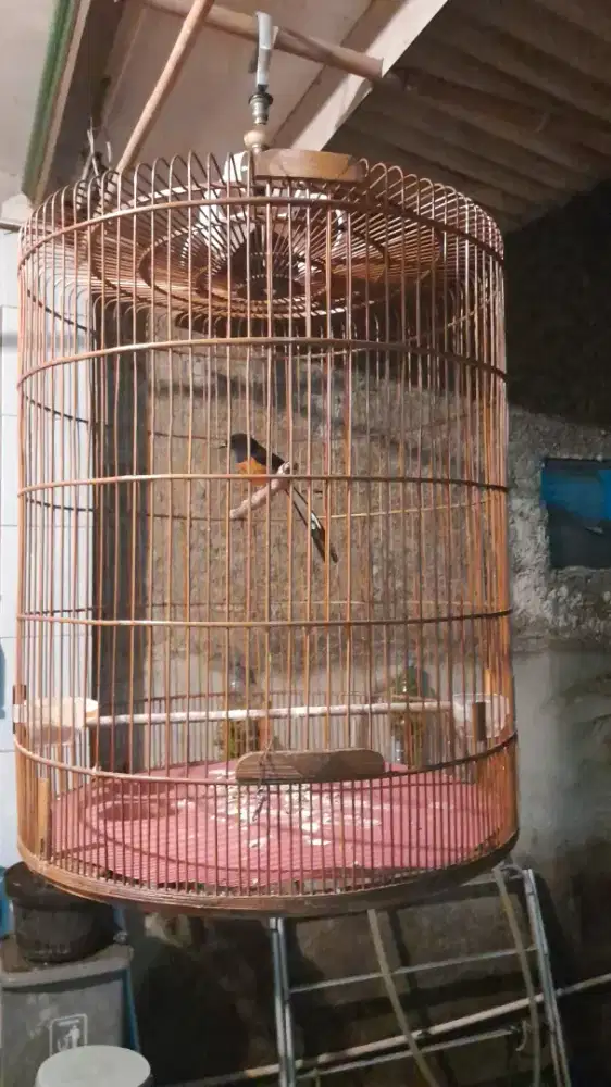 Dijual kandang mb no 1 fs