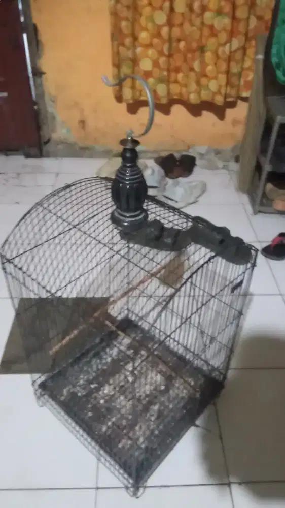 Jual ni kandang kotak besi