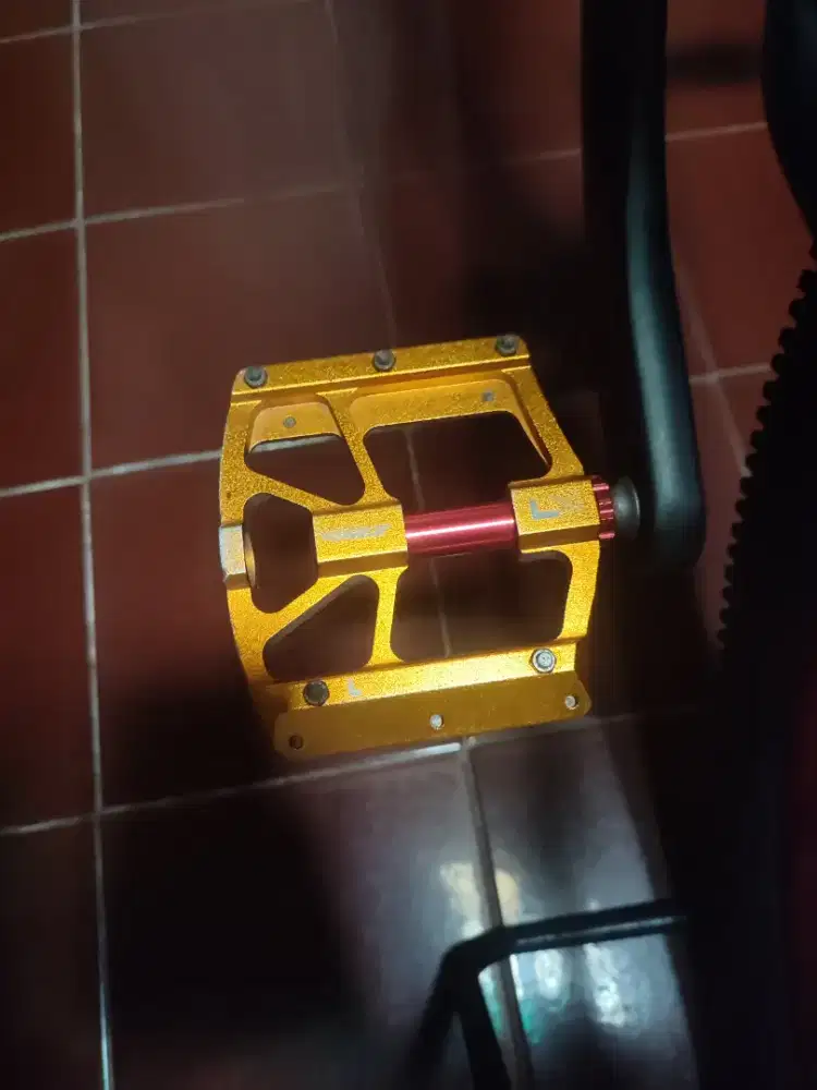 Pedal Raze Bearing