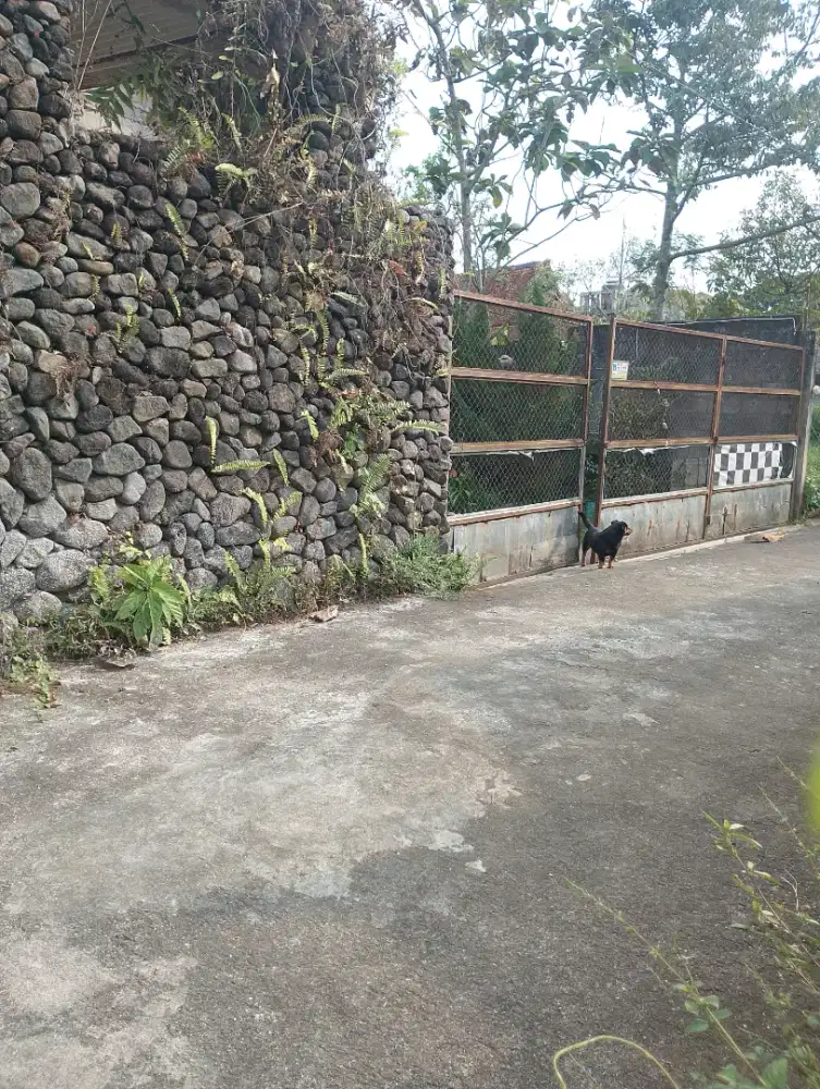 Pekarangan Bonus rumah view sawah dan sungai