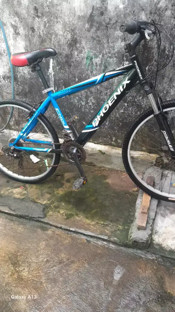Sepeda mtb phoenix