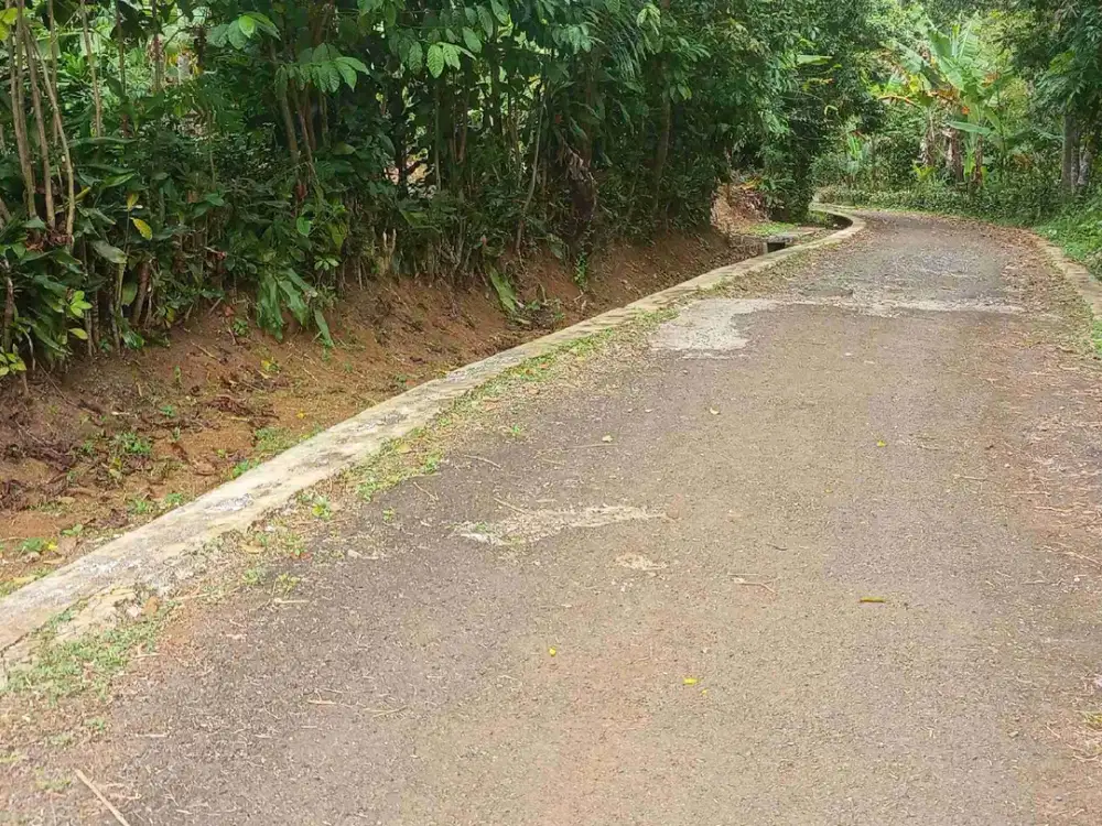 tanah darat kebun