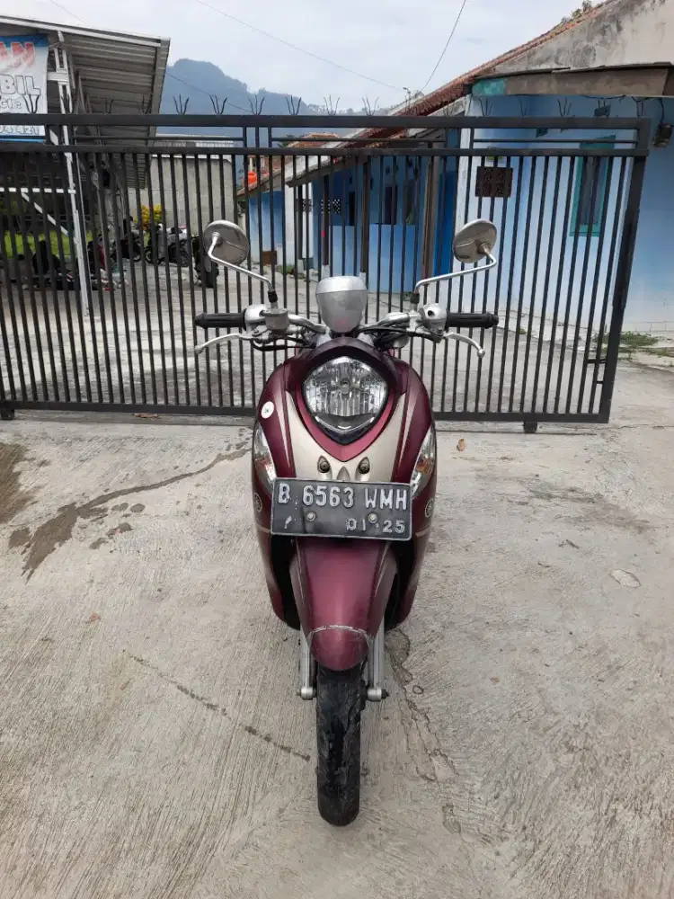 Fino premium surat lengkap