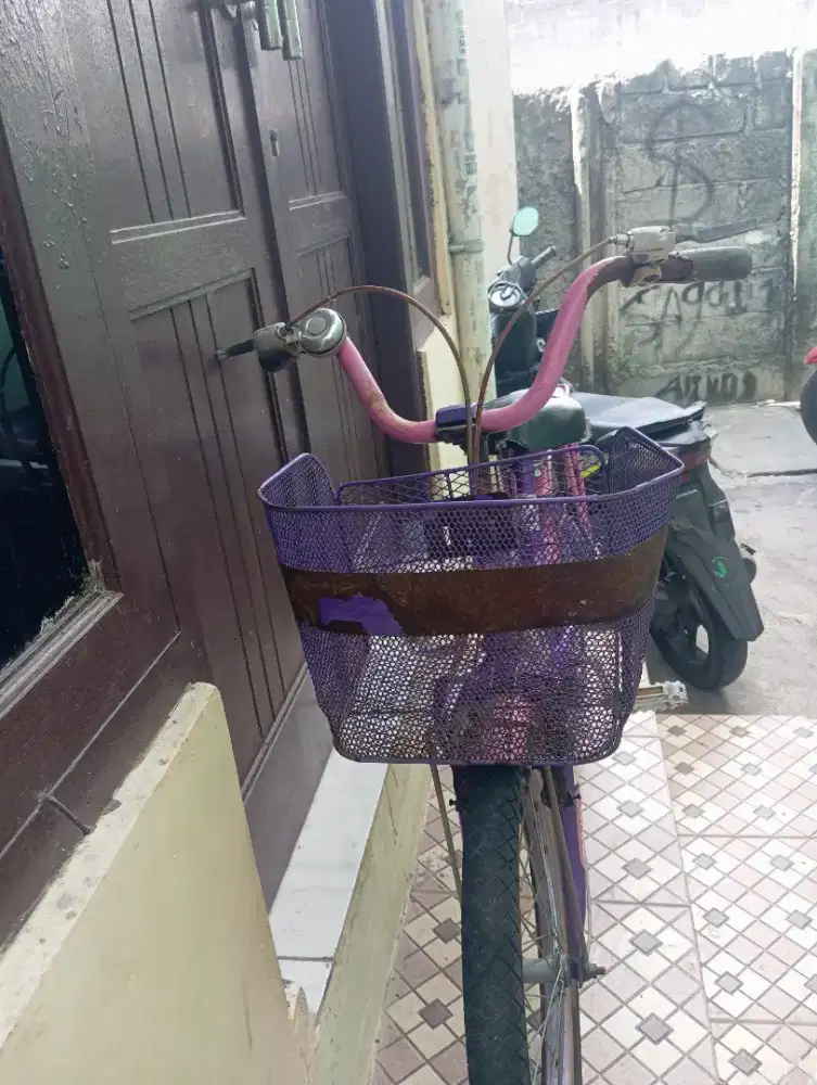 Di jual sepeda mini anak