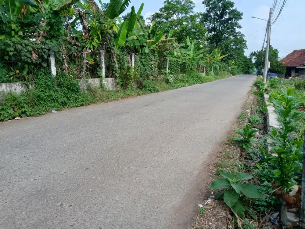 Tanah Pinggir Jalan Murah di Cisauk - SHM - Dekat Tol Legok & Stasiun Jatake