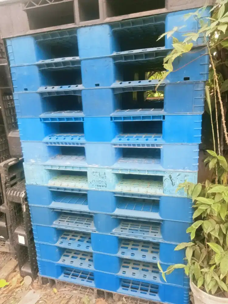 pallet pelastik