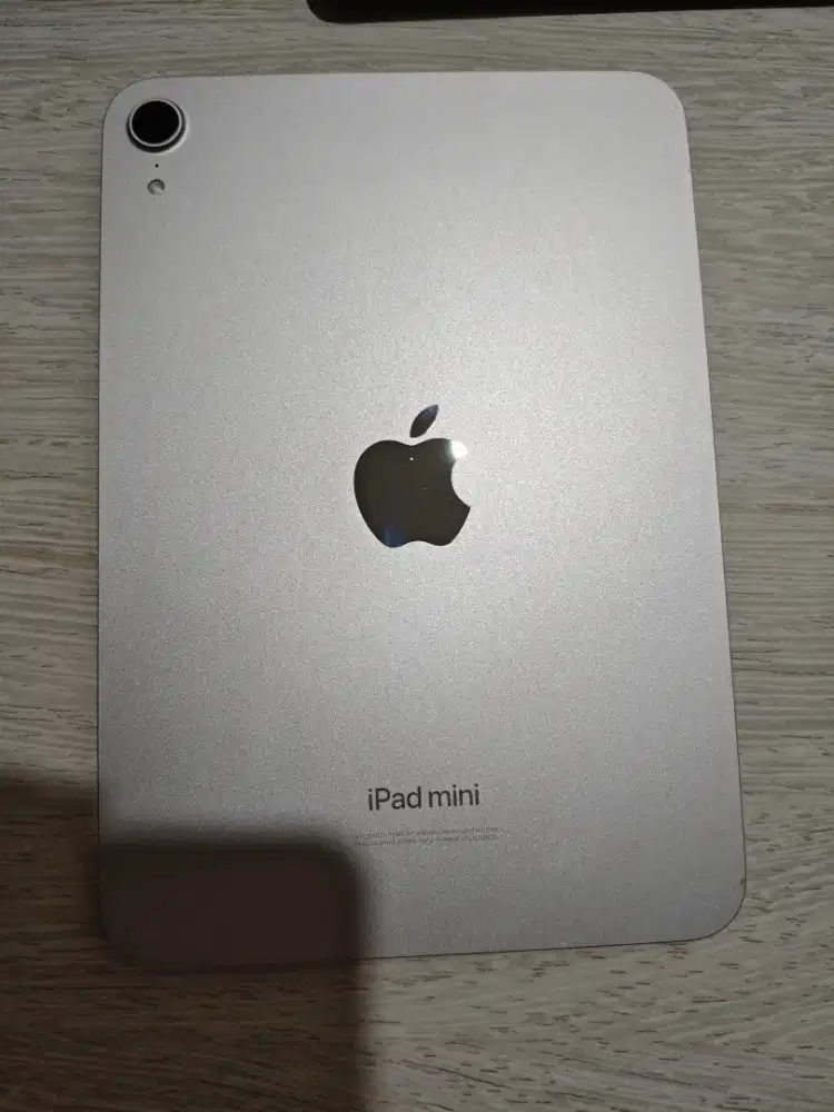 Apple Ipad mini 7