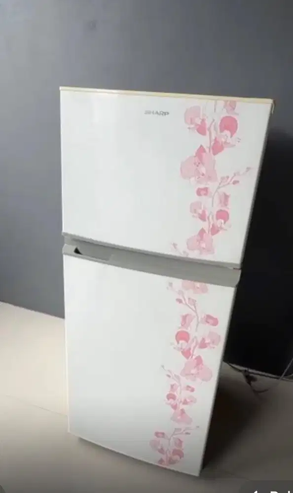 Kulkas sharp 2 pintu