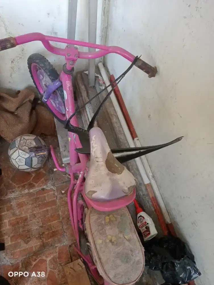 Sepedah anak perempuan