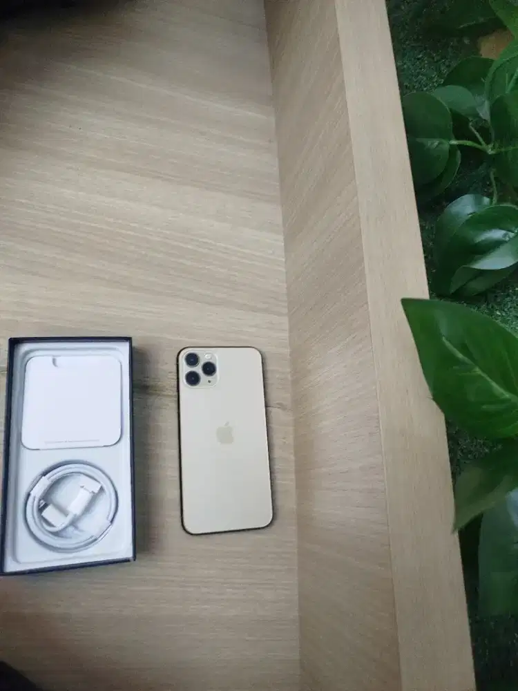 iPhone 11 pro 256gb elegan gold