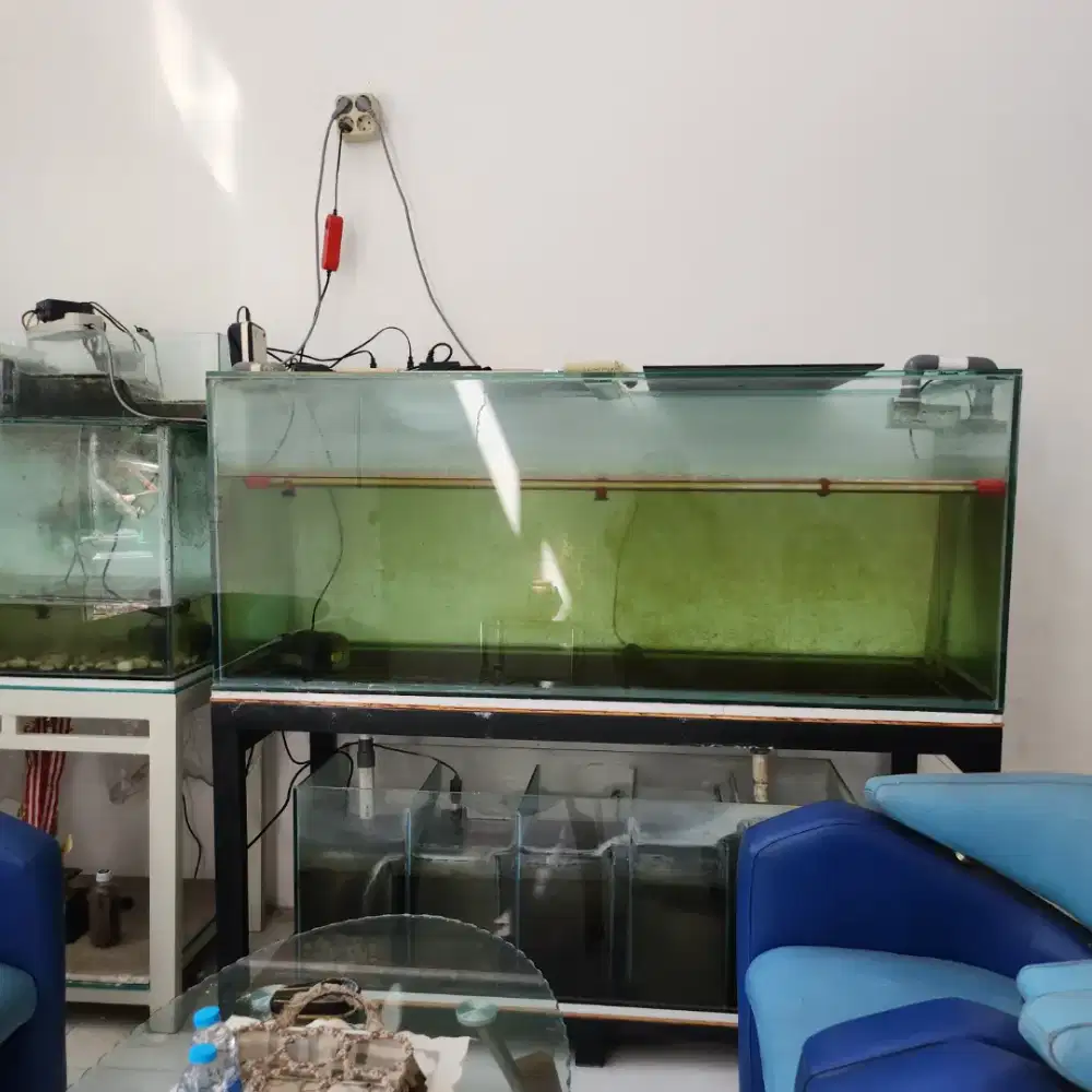 Aquarium kaca plus meja