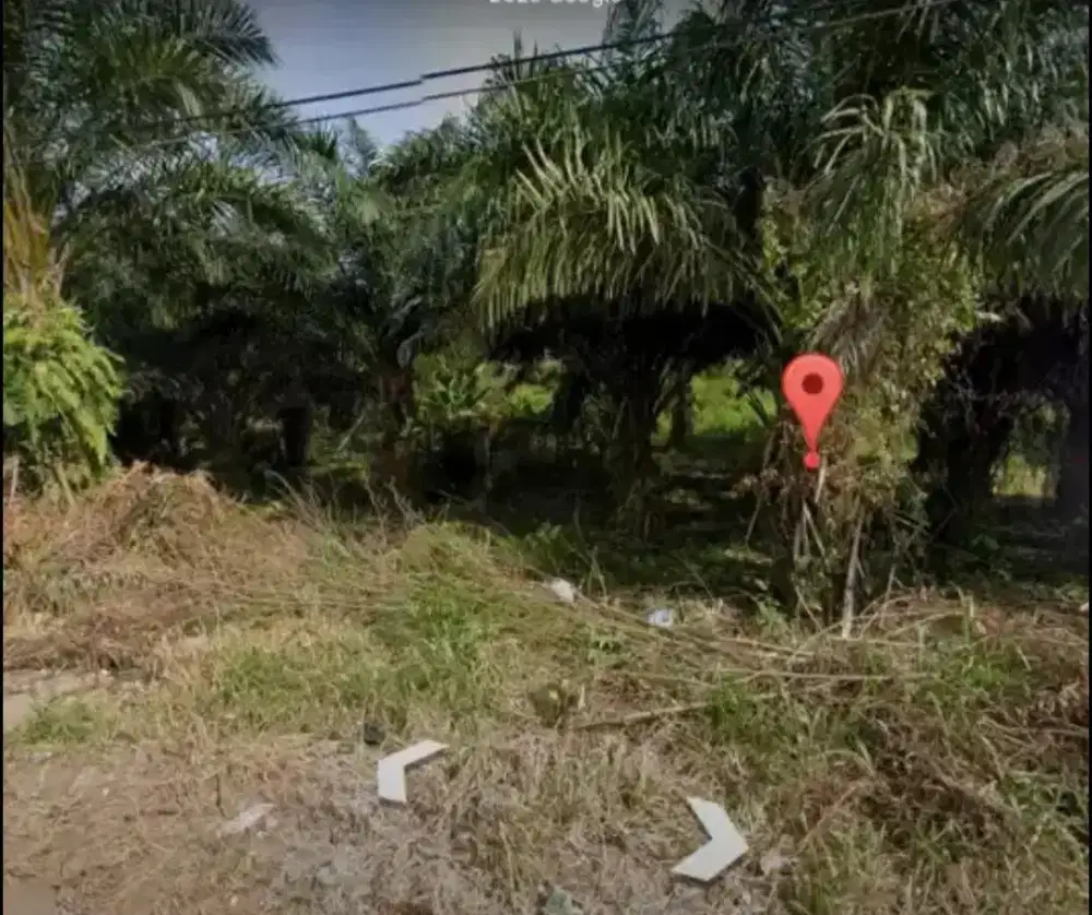 Dijual tanah di Talang Keramat siap bangun Lt: 7350/m2 Hrg: 700 rb/m2