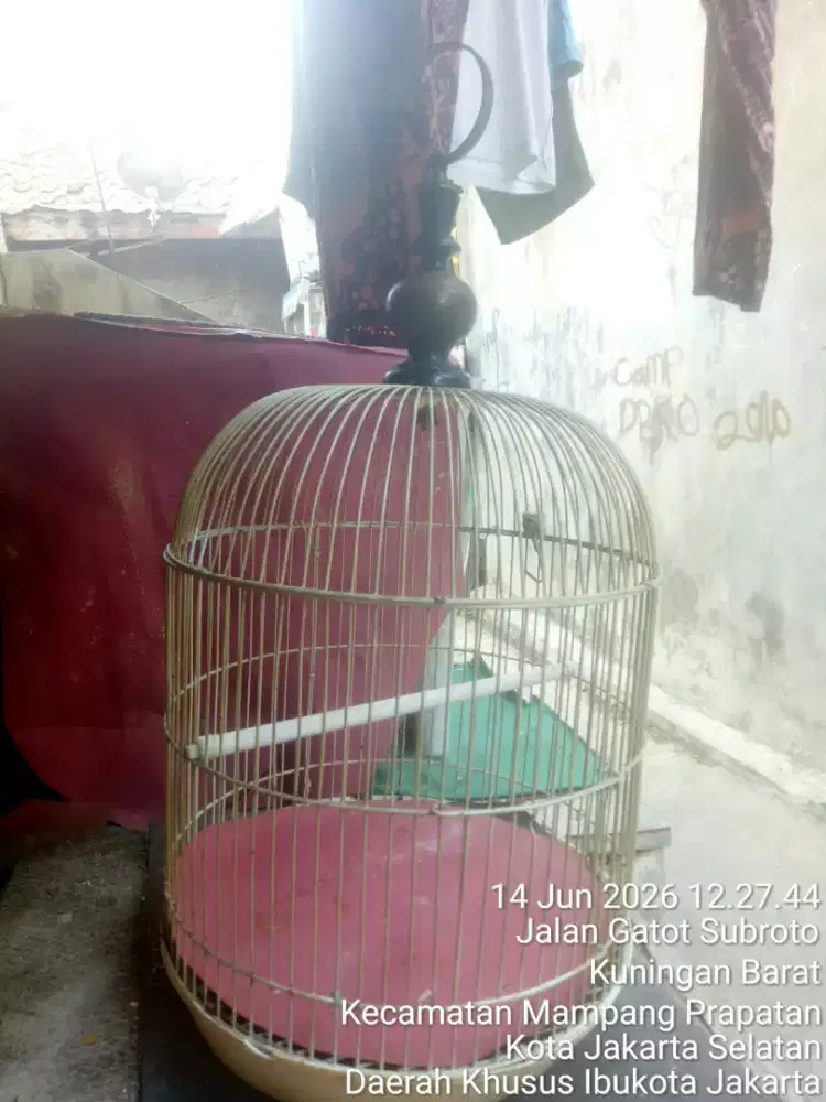 JUAL SANTAI SAMBIL NGOPI