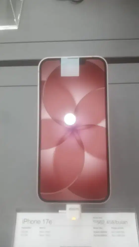 iPhone 17e 156 GB
