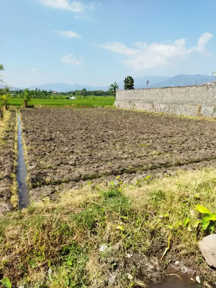 Dijual Tanah Kapling Jalan Raya sebelah Rumah Makan Tepi Sawah