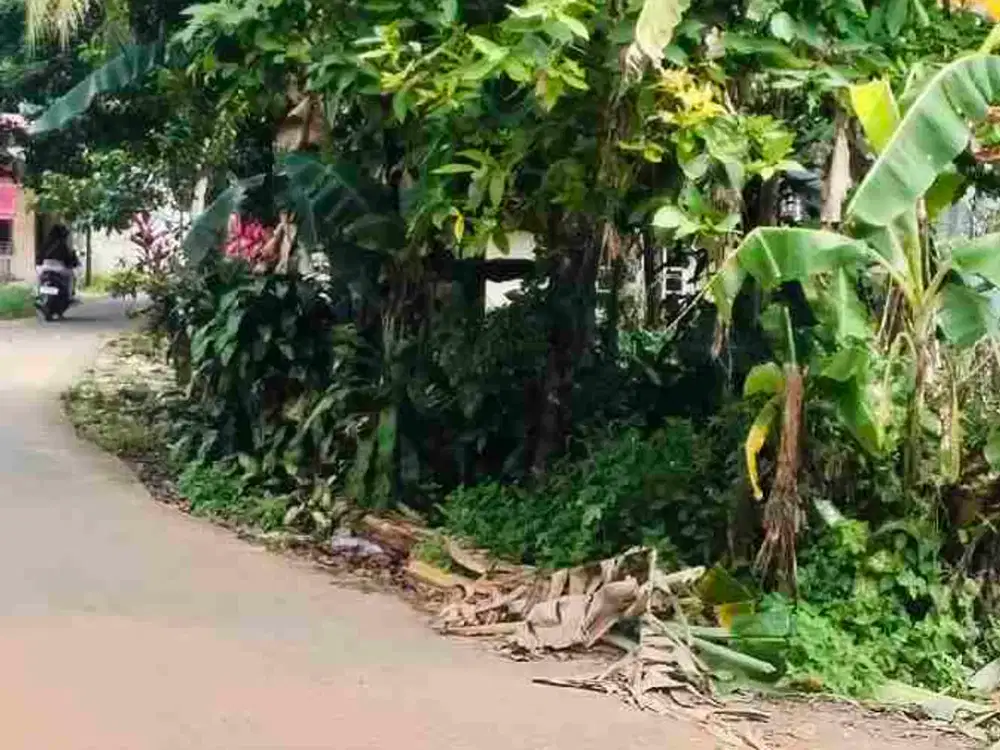 dijual tanah strategis pinggir jalan desa pengasinan gunung Sindur Bogor