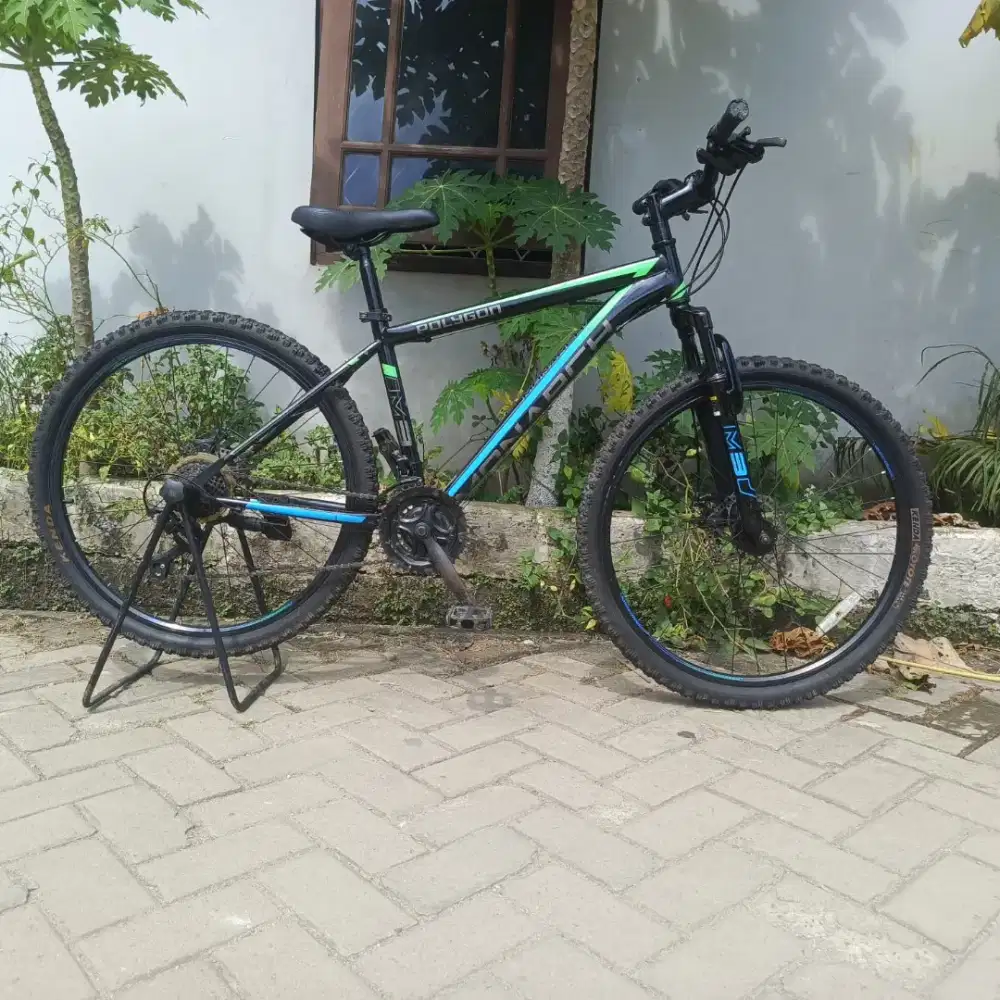 Sepeda MTB Polygon Monarch M3