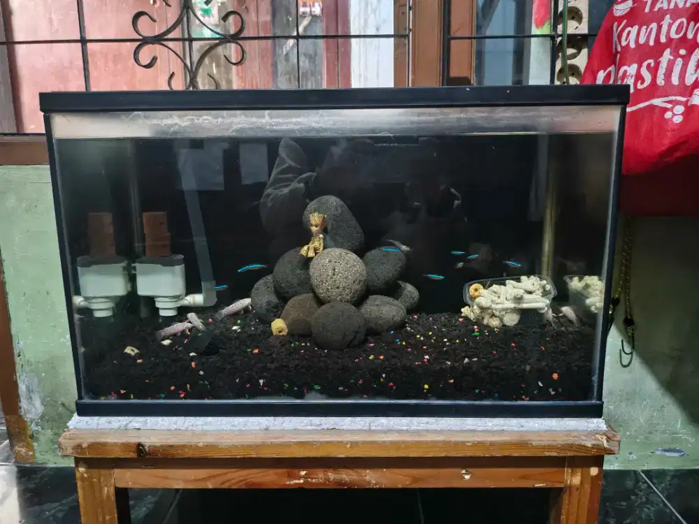 Aquarium Ikan Hias