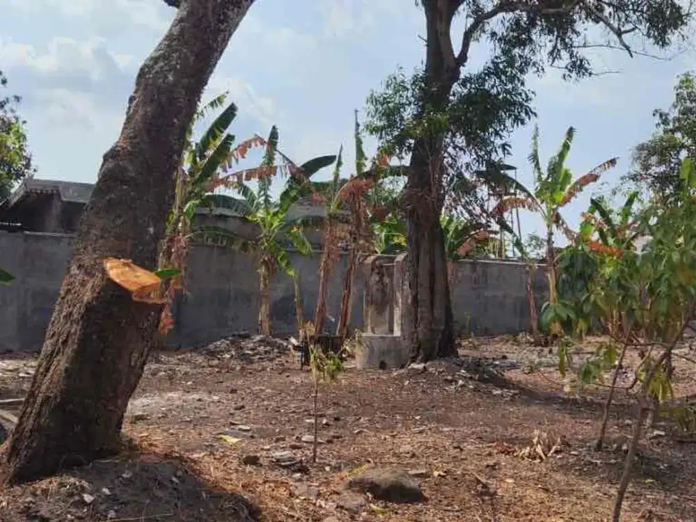 dijual tanah diyosodipuro solo