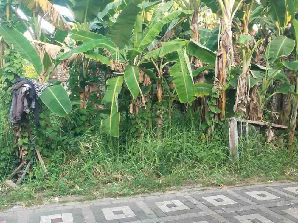 Dijual Tanah di Sumberejo Benowo Pakal Surabaya Barat dekat SMPN 14 Siapa Bangun