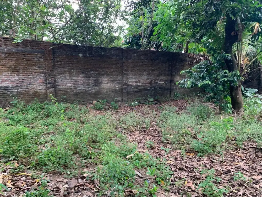 Tanah Dijual Area Ring 1 Candi Borobudur