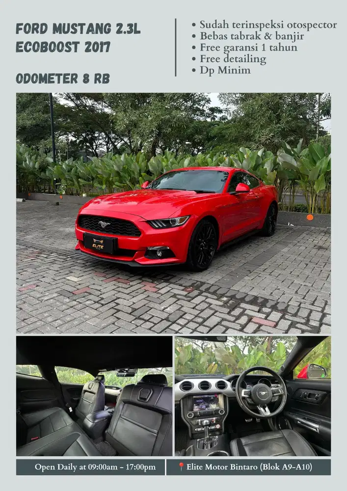 Ford Mustang 2.3L EcoBoost 2017