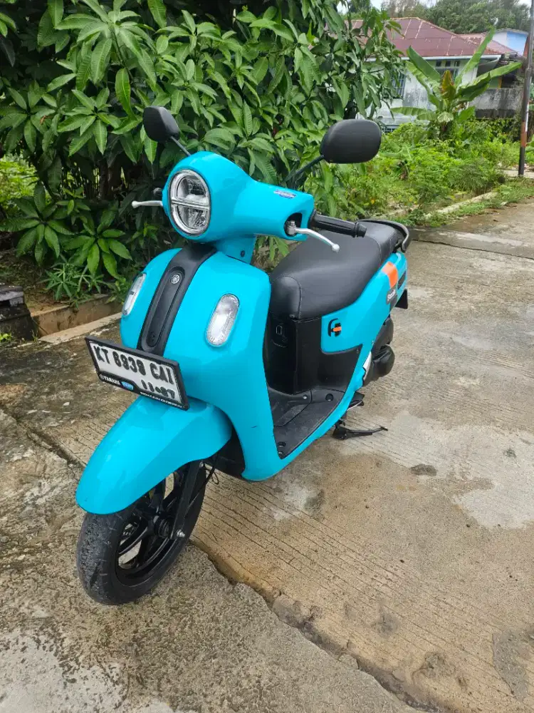 Fazzio 2022 16.8 jt nego
